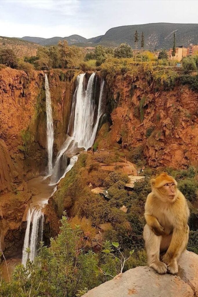 Ouzoud waterfalls Morocco