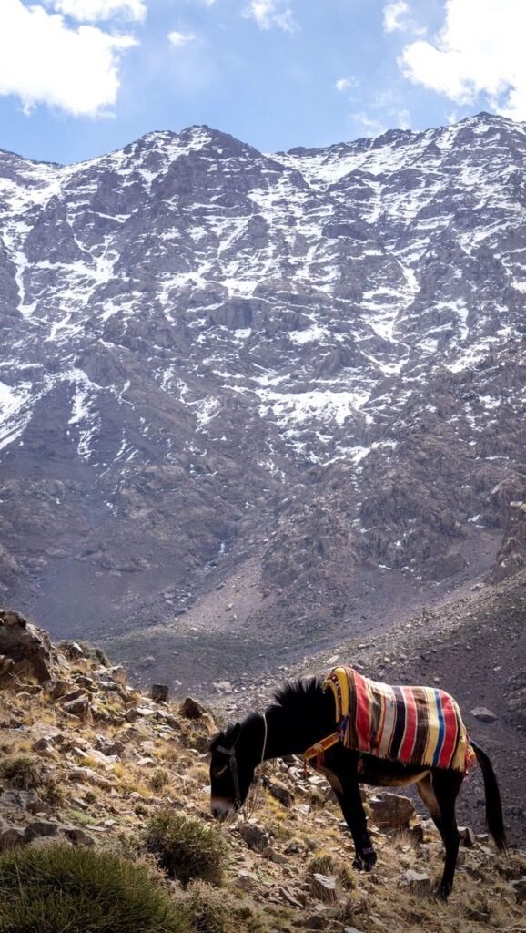 Randonnée autour d’Imlil, au pied du Mont Toubkal